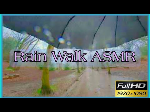Hampstead Rain Walk #asmr #rainsounds #london #woodland #mindfulness