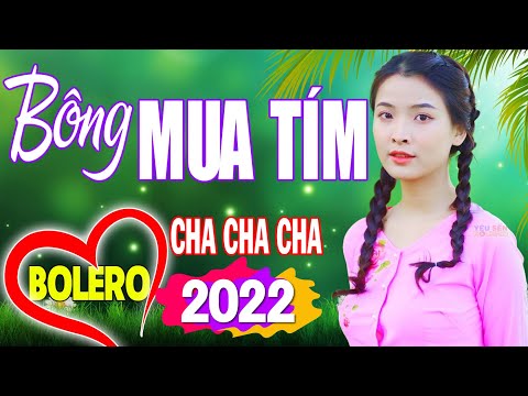Nhạc Mới Bolero 2022, LK Cha cha cha Bông Mua Tím, Toàn Bài Hay, Phối Mới Chuẩn, Ông Mở Bà Phê