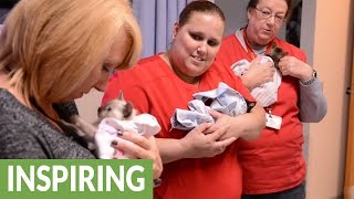 Woman in Hospice gets her dying wish: Basket of precious kittens