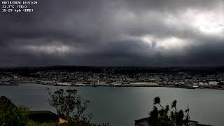 Dunedin Overview
