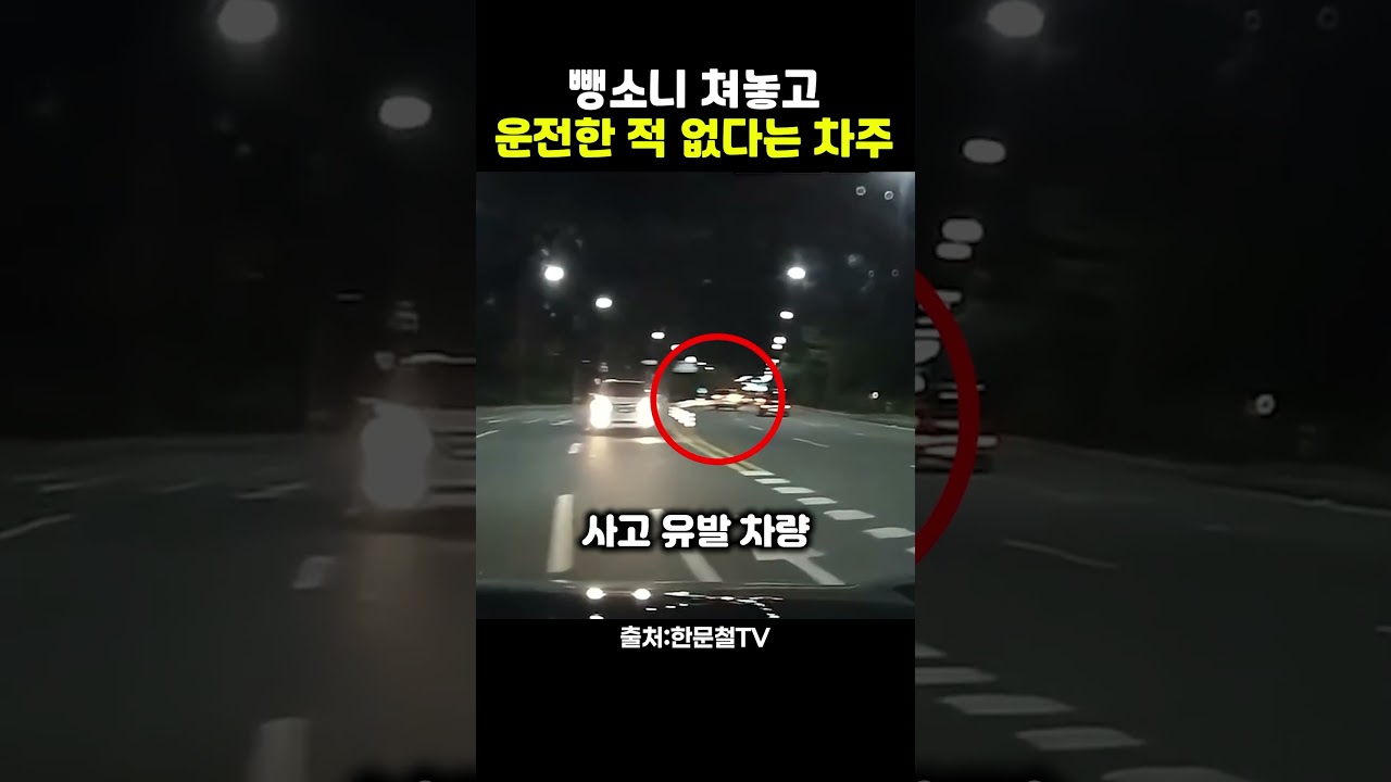 뺑소니 치고 운전한 적 없다는 차주