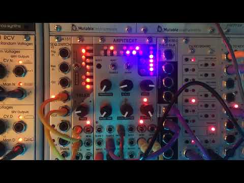 WMD ARPITECHT and Roland D-05 via Doepfer a-192-2