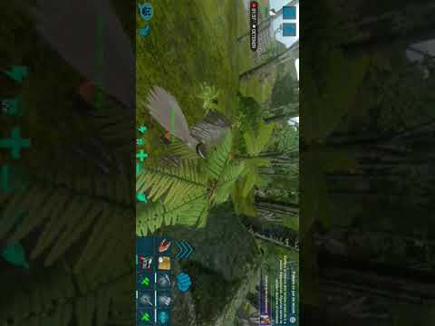 MOSCHOPS HABILIDAD SECRETA EL MEJOR FARMEADOR BAJO NIVEL