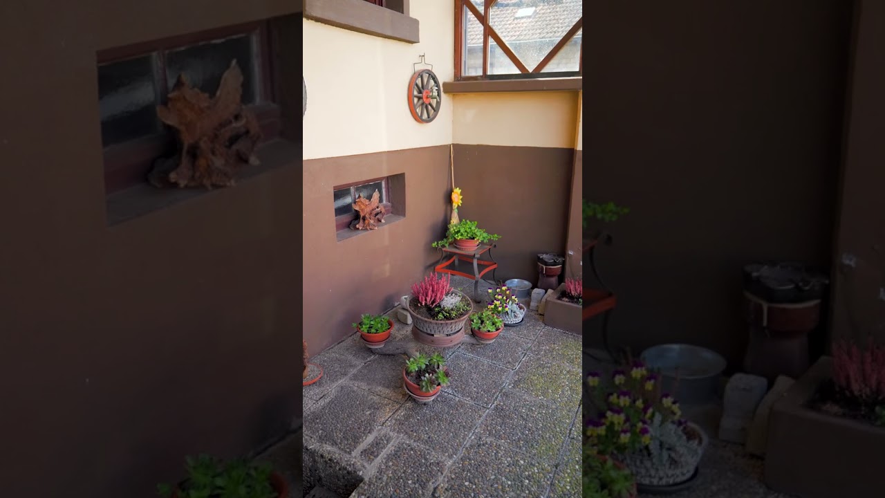 Immobilienvideo