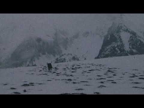 Sibewest x Ryke // Dawn