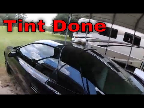 Tview Window Tint
