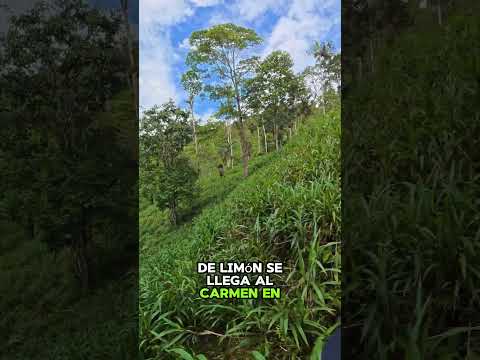 🚨 ¡Oportunidad de Inversión Agrícola en Limón Indanza! 🌿