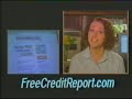 FreeCreditReport Com Commercial Freeee Credit Report Dot Com