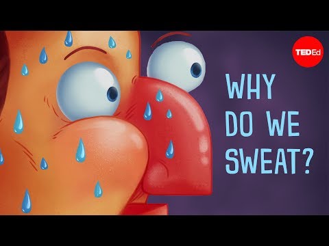 Why do we sweat? - John Murnan