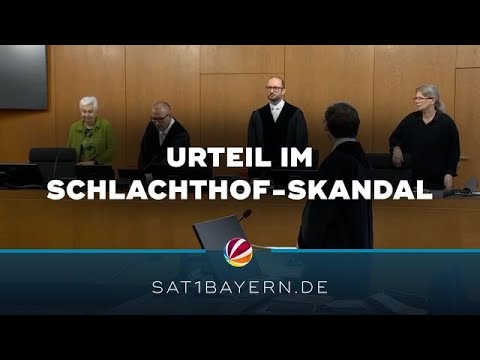 Nach Schlachthof-Skandal: Bewährungsstrafe für Amtstierärztin