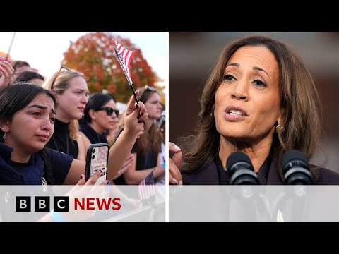 Video | Kamala Harris supporters react to loss as Donald Trump plans cabinet | BBC News