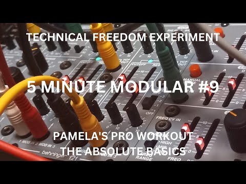 5 MINUTE MODULAR #9 - PAMELA'S PRO WORKOUT - THE ABSOLUTE BASICS - ALM BUSY CIRCUITS PPW