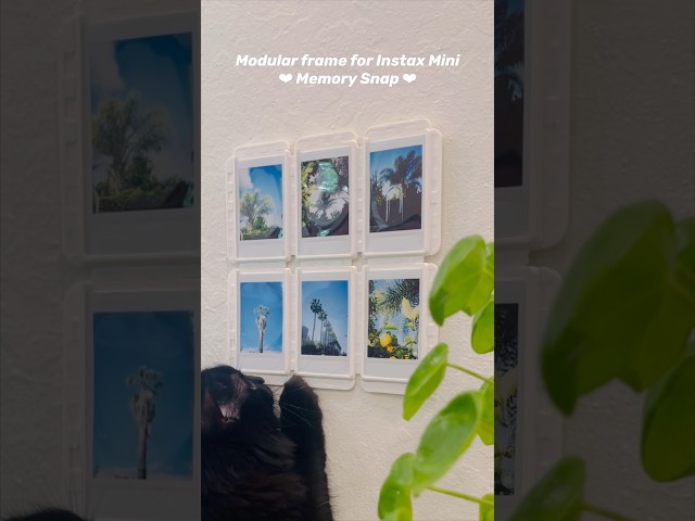 Vídeo relacionado con Tapeera Marcos de fotos de madera para decoración de pared, compatible con película Polaroid Fujifilm Instax Mini, collage de múltiples marcos de fotos para pared, fotos universitarias, fotos