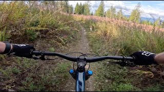 Lost Sole - Galbraith Mountain - Bellingham - Washington