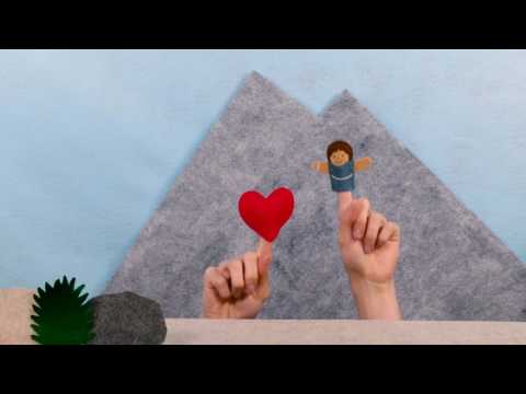 Witness21 Editor  2017 02 23