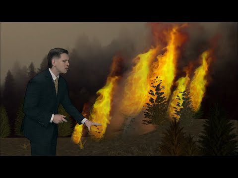 Fire Dynamics: How wildfires work and the weather they create