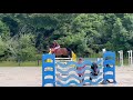 Vente jument baie de 10 ans, Belgian Warmblood