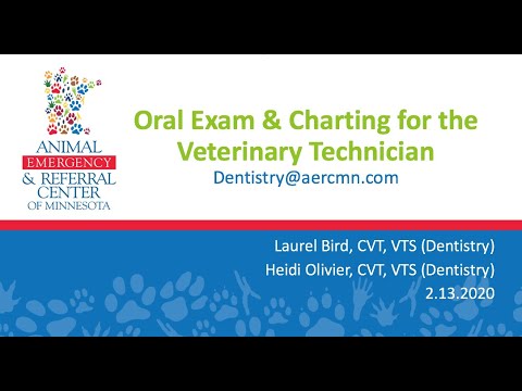 Oral Exam & Charting for the Veterinary Technician