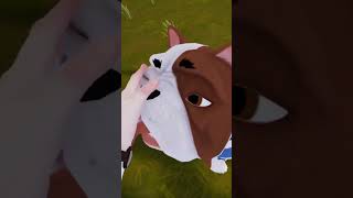 'Pet your beloved one' reminder from Skipper 🐶 We really adore pets in Hello Neighbor 2.