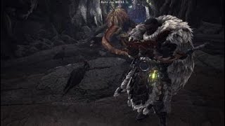 モンスターハンターワールド：アイスボーン　ベータ　ドスジャグラス