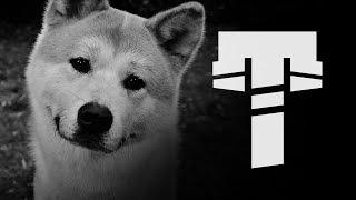 Sex Whales - Hachiko