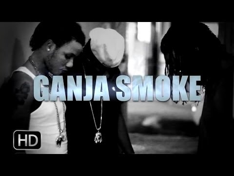 Ryme Minista Feat. Blade Skeemaz - Ganja Smoke [Official Music Video HD]