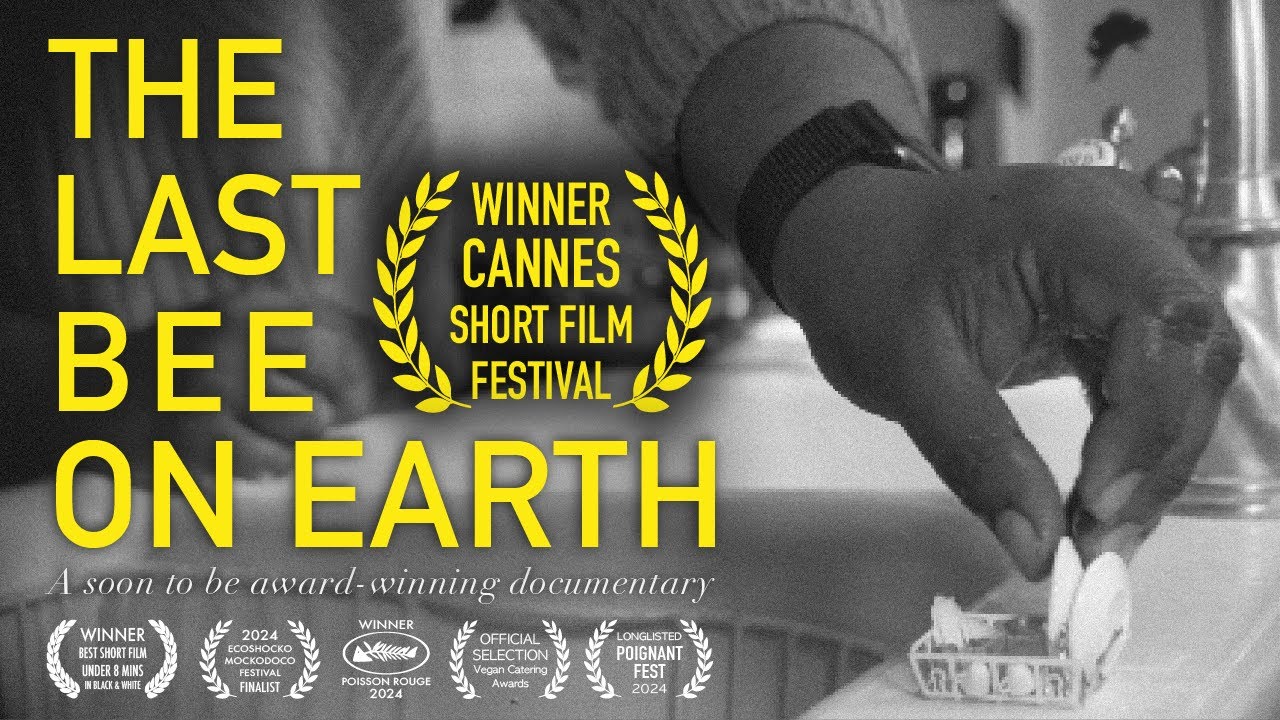 THE LAST BEE ON EARTH (Award-winning UK short)