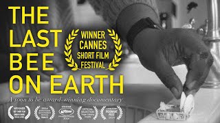 THE LAST BEE ON EARTH (Award-winning UK short)