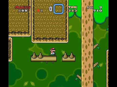 Blind Kaizo Race - Week 56 Level by ft029