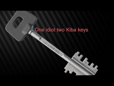One idiot two Kiba keys