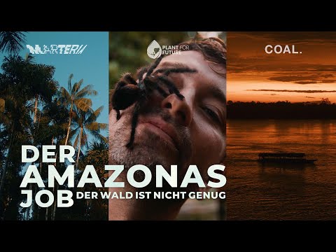 THE AMAZON JOB – THE FOREST IS NOT ENOUGH