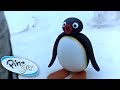 Pingu S Big Trip Pingu Official Cartoons For Kids