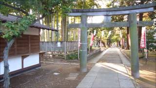 preview picture of video '川越観光・自転車で巡る三好野神社【55歳からの生きがいサイクリング】'