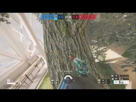 Int East Tower-Tree