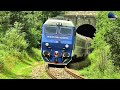 Trenuri de Călători&Marfă/Passenger&Freight Trains in Defileul Crișului Repede Canyon - 25 June 2020