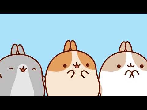 Chicu (hamnsteri cantaretii )