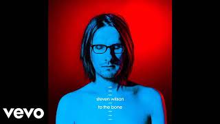 Steven Wilson - Blank Tapes