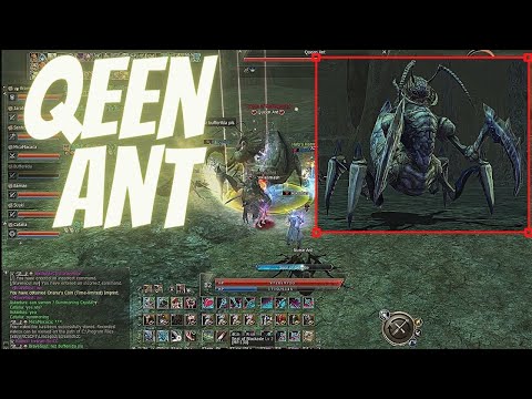 Lineage 2 Classic Ant Queen Giran Server 2021-10-20 Unexpected Ending