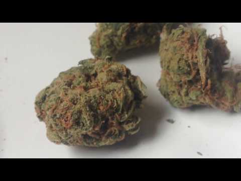 Bad Boy Weed S5 Haze