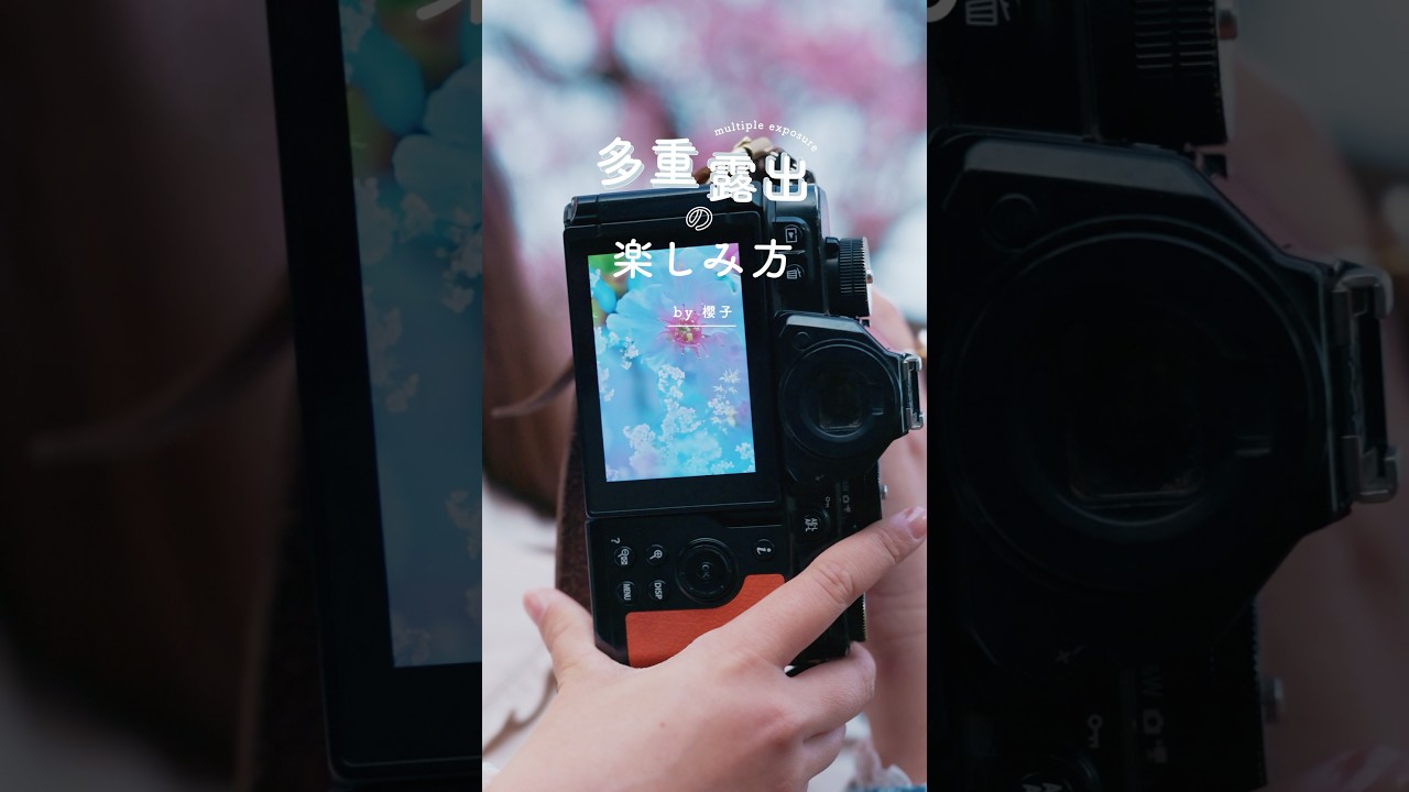 多重露出の楽しみ方 | 櫻子さん #nicostop #nikon  #カメラ  #写真 #フォトグラファー #櫻子 #桜 #多重露出 #多重露光 #shorts