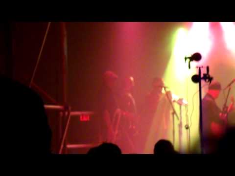 Lettuce-Royal Family Ball 2