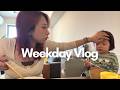 Vlog A Day When My Second Son S Teacher Had A Fever Introducing Our Purchases From Sanrio Pur
