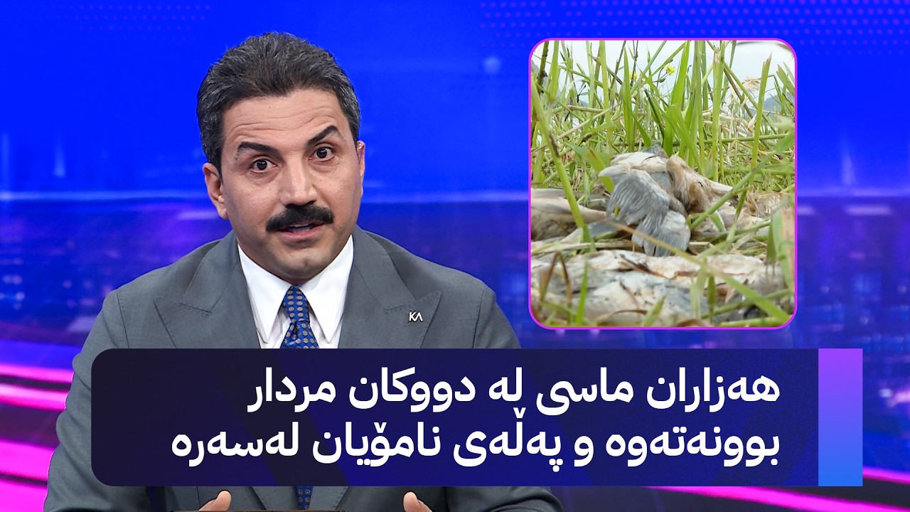 ڤیدیۆ | هەزاران ماسی لە دووکان مردار بوونەتەوە و پەڵەی نامۆیان لەسەرە