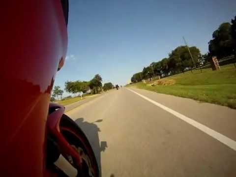 Bean Dip rocking twisties