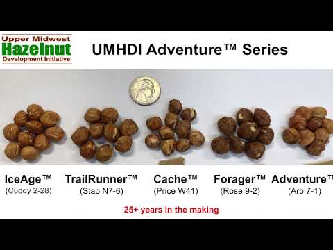 5. FGF25 Agroforestry