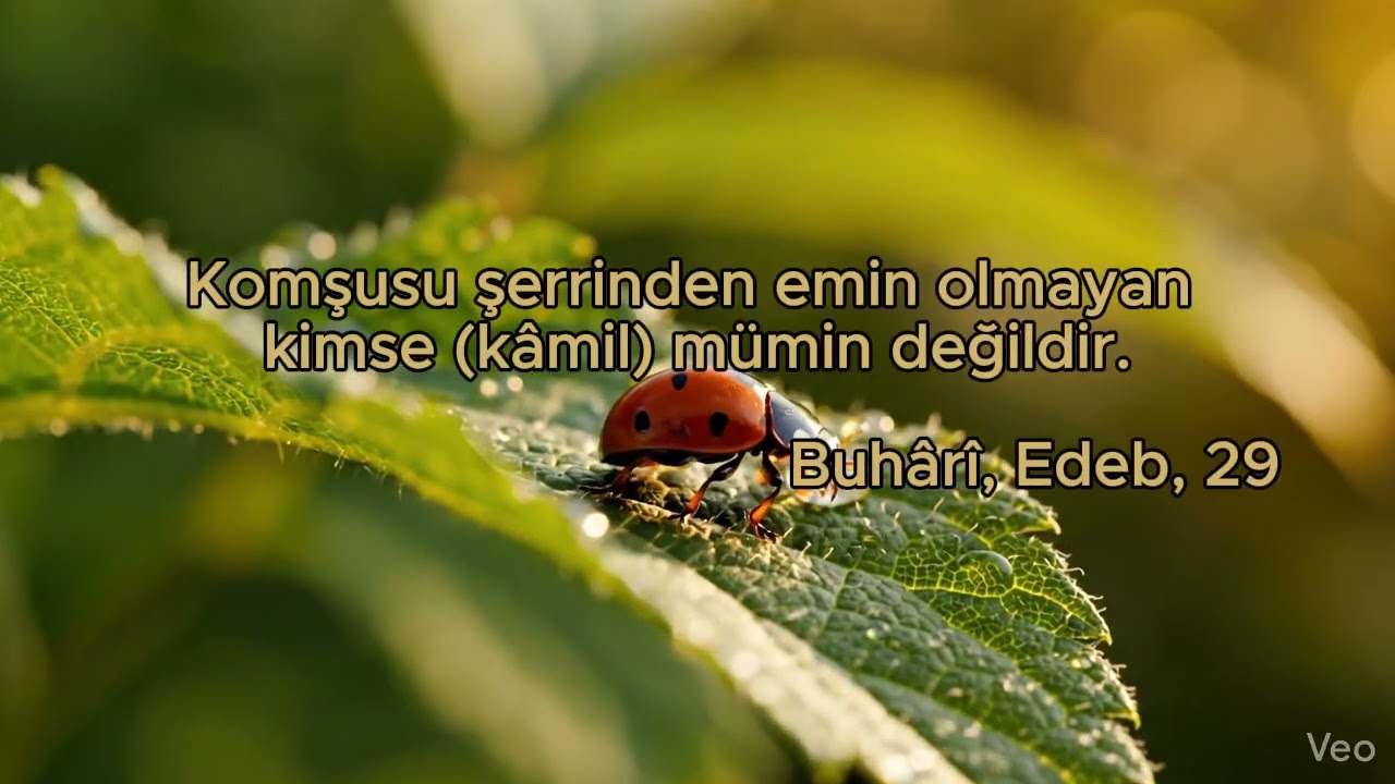 Gerçek Mümin Kimdir? Dikkat Edin! 🏠⚠️ #hadis