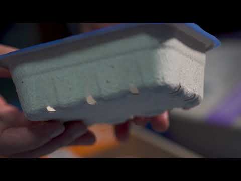 Earthcycle Video 1 Fruit & Compost