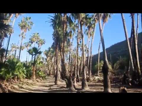 Aikido Weapons Training in Baja, Mexico