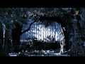 Библейские места: Гефсиманский сад. 