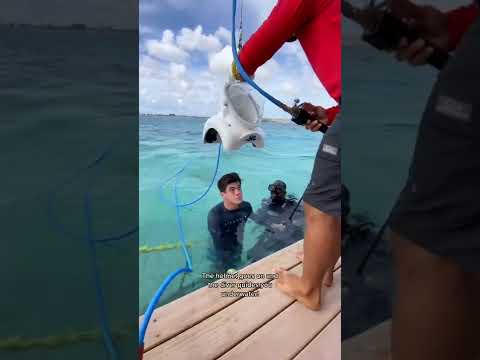 Walking under water in Aruba! Helmet diving! #shorts
